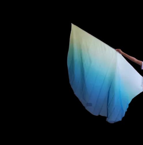 Bandera con Degradado 
