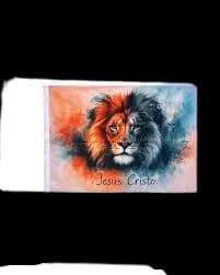 Bandera de León 
