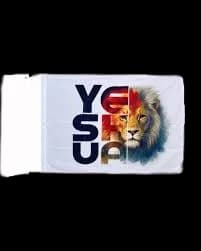 Bandera de León 