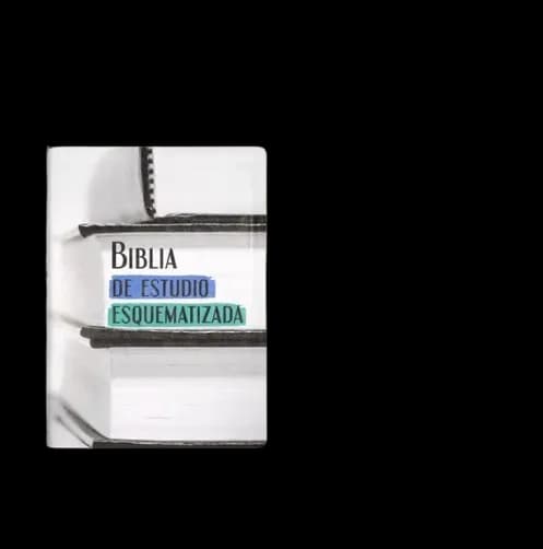 Biblia Esquematizada - Simil Piel