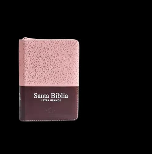 Biblia letra Grande