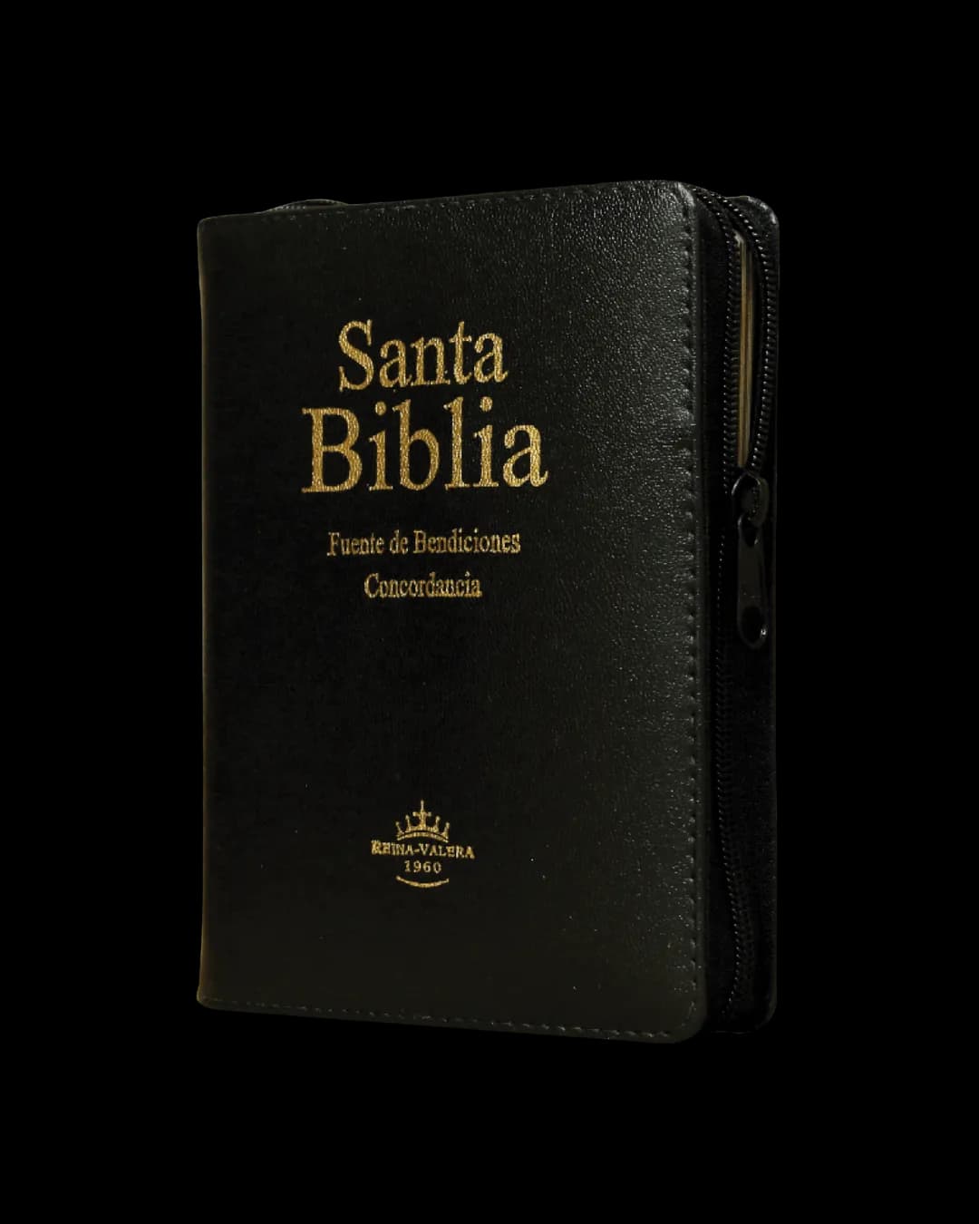 Biblia RVR letra grande