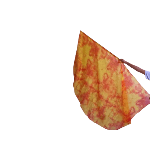Bandera con Degradado