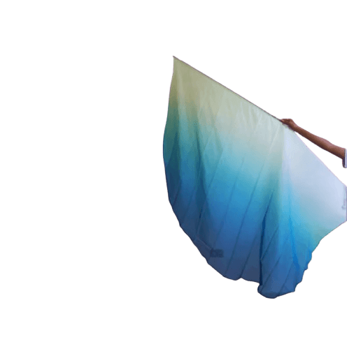 Bandera con Degradado
