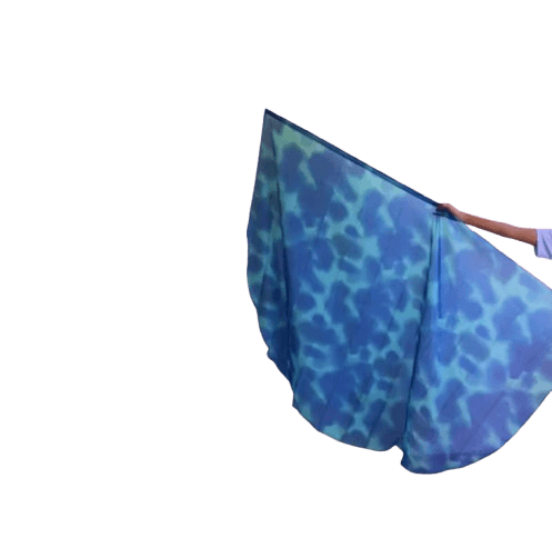 Bandera con Degradado