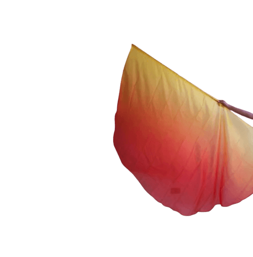 Bandera con Degradado