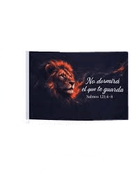Bandera de León