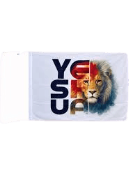 Bandera de León