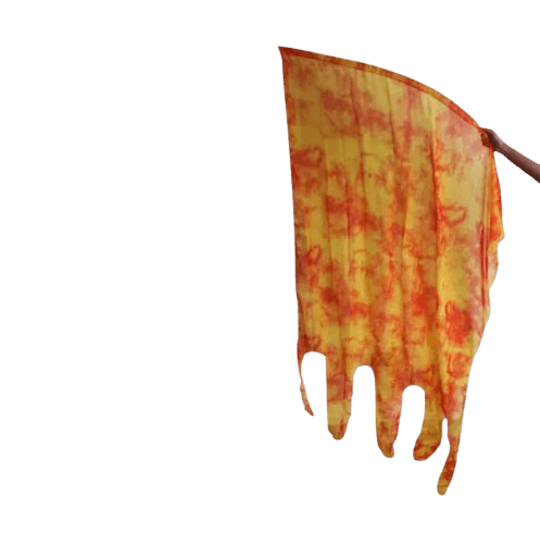 Bandera Llamas de Fuego